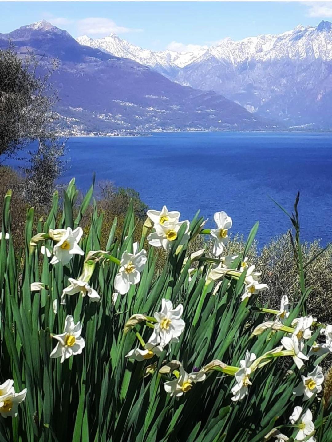 Balcony On Lake Pianello Pianello Del Lario ภายนอก รูปภาพ